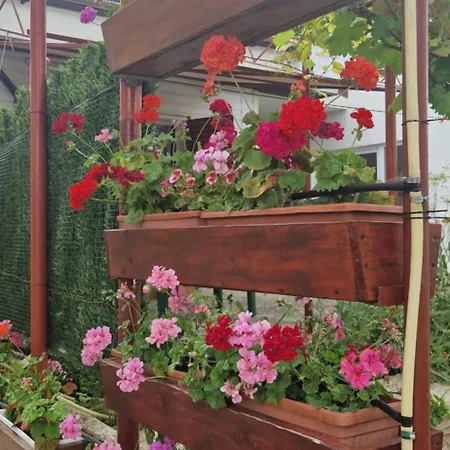 жасмин овчаровски плаж Villa Balchik