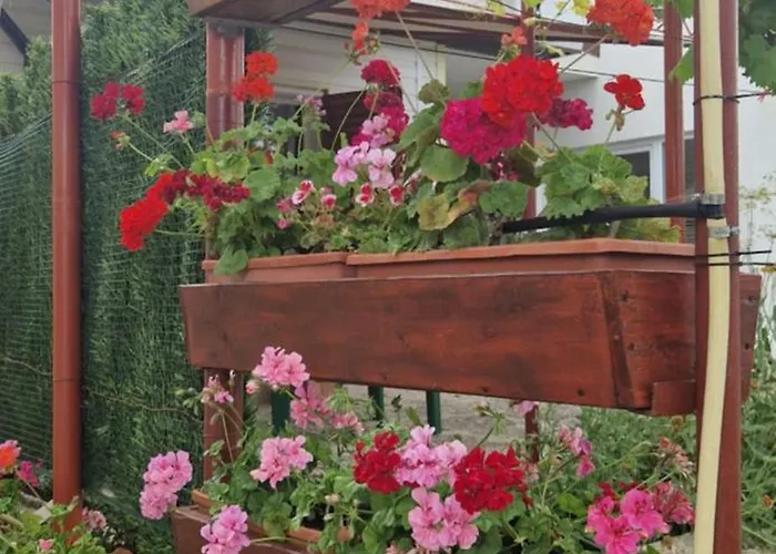 жасмин овчаровски плаж Villa Balchik